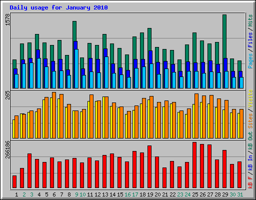 Daily usage for January 2010