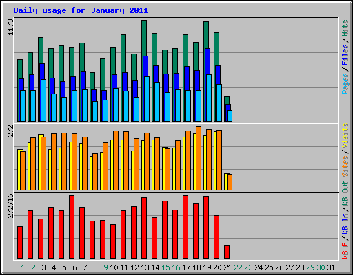Daily usage for January 2011