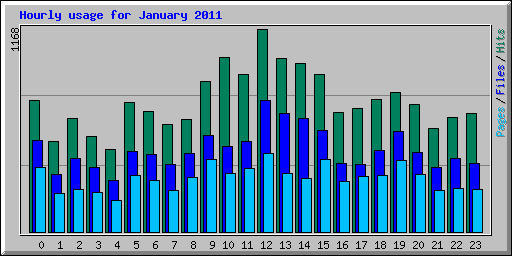 Hourly usage for January 2011
